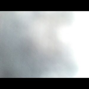 Meet your Posher, Shelly